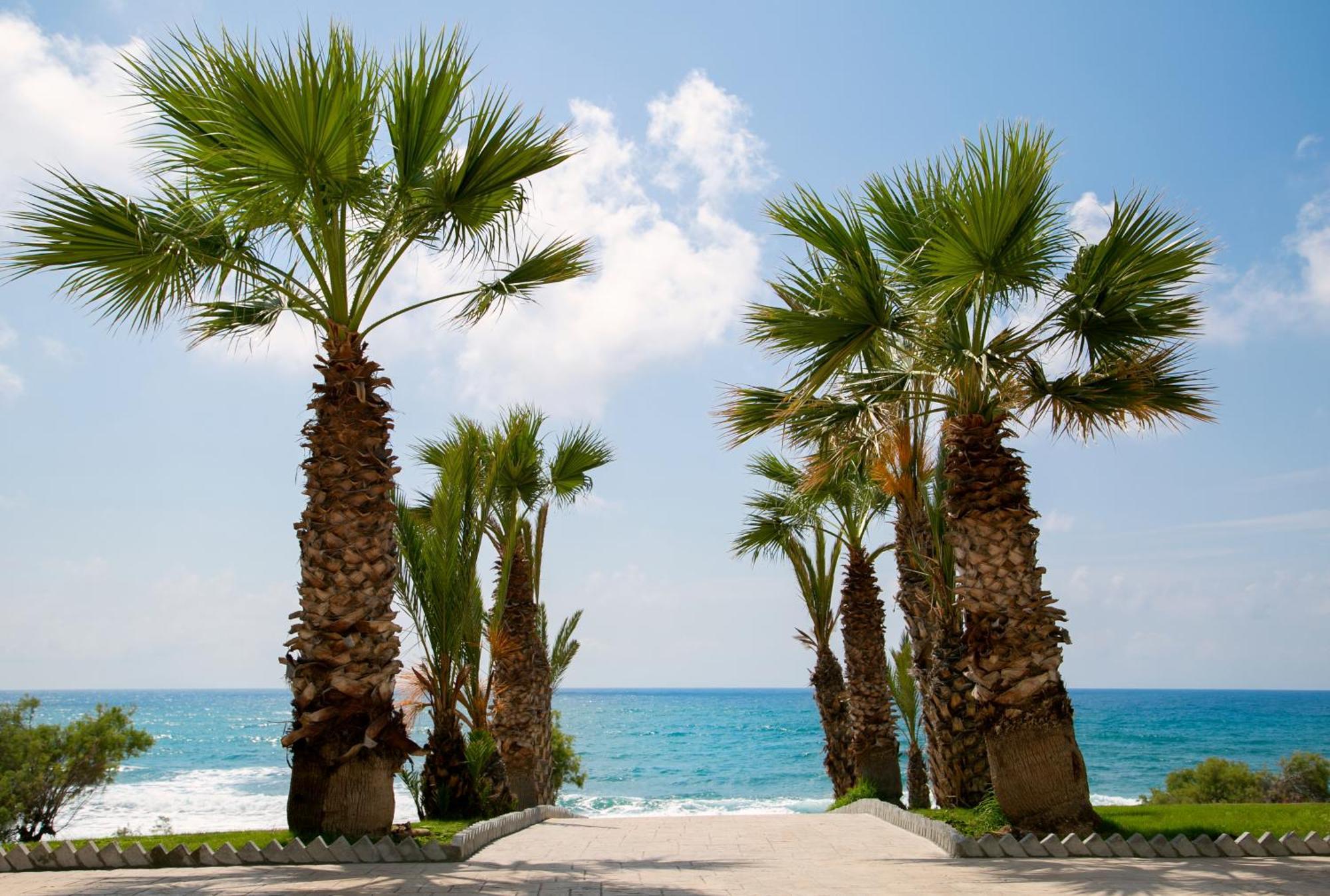 Louis Paphos Breeze Hotel Klorakas Ngoại thất bức ảnh